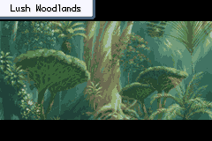 A forest route in Pokémon Odyssey II